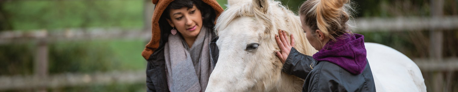 Terapia de reabilitare cu ajutorul cailor